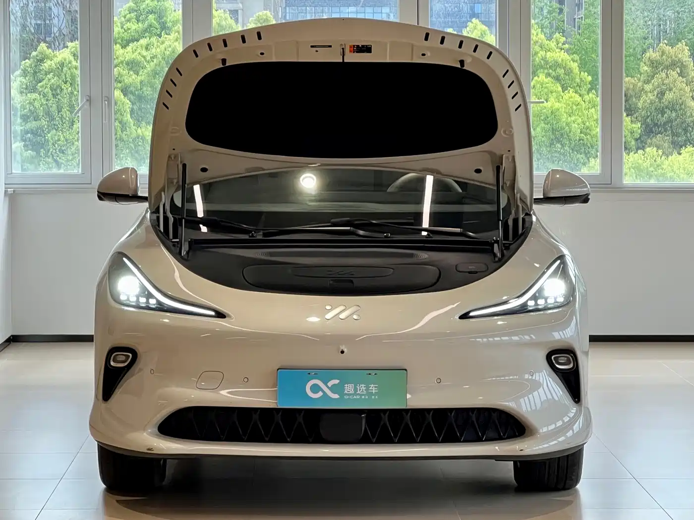 ZHIJI AUTOMOBILE ZHIJI LS6