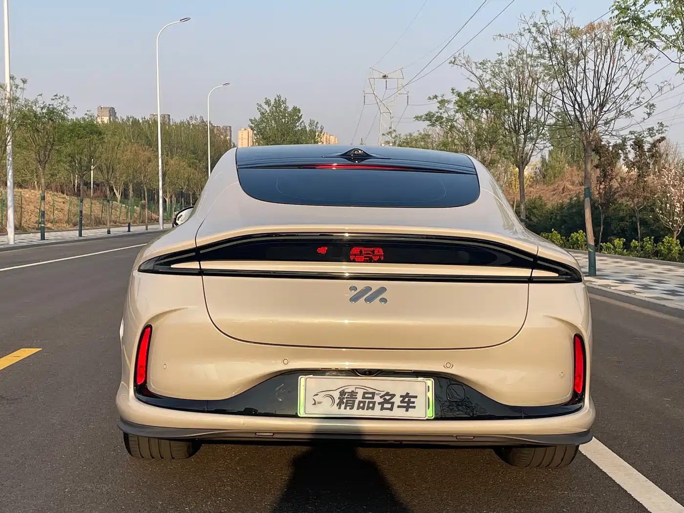 ZHIJI AUTOMOBILE ZHIJI L6