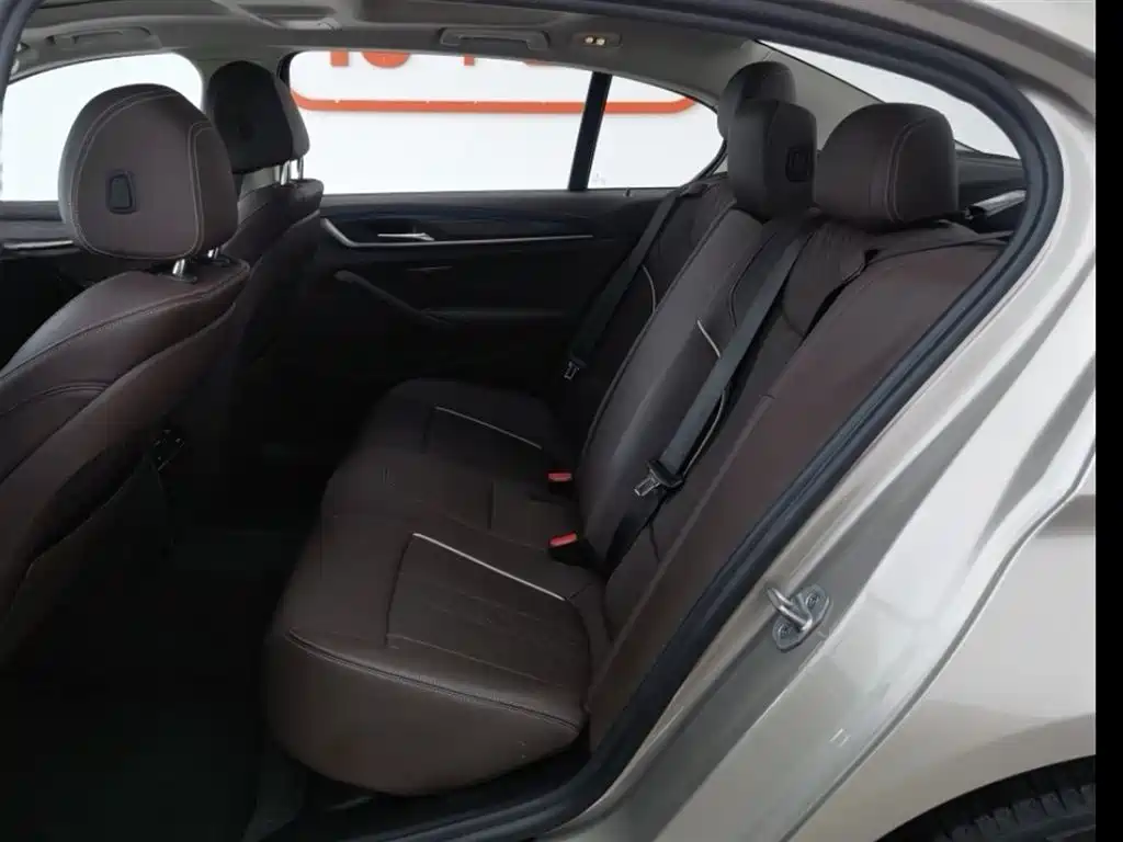 BMW 5 Series 2021 530Li Leading Luxury Package фото 15