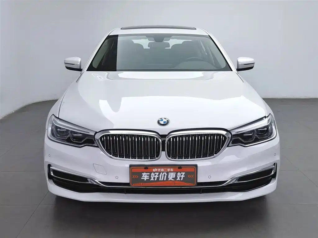 BMW 5 Series 2020 530Li Leading Luxury Package фото 3