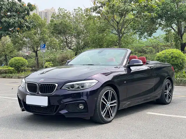 BMW 2 SERIES