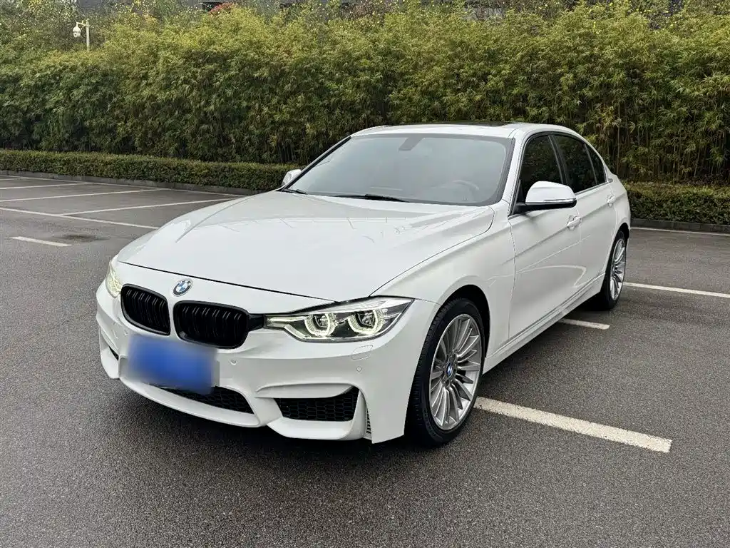 BMW 3 Series 2019 320Li Fashion Type