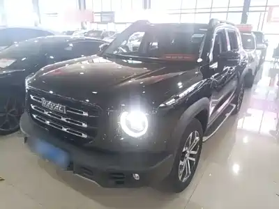 Haval Dargo