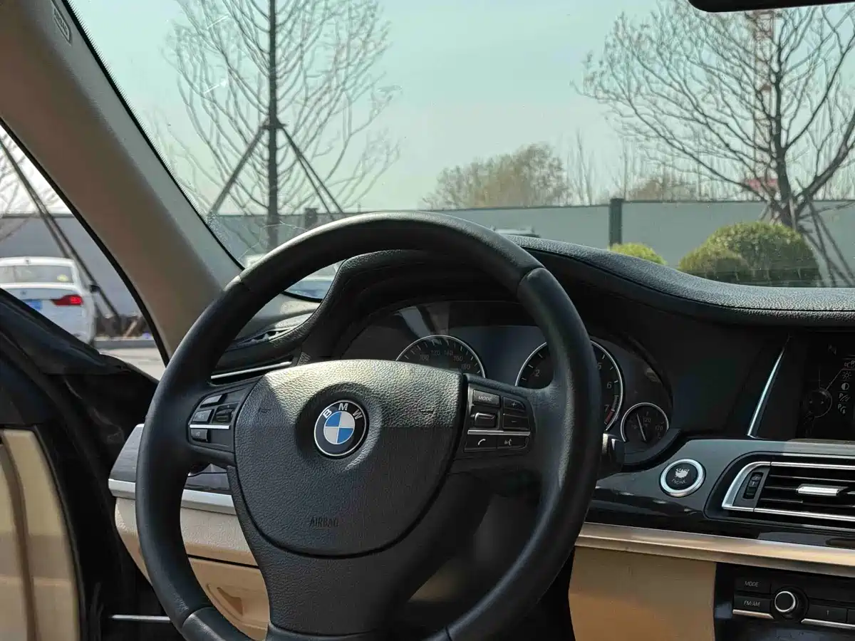 BMW 7 Series 2011 730Li Elegance фото 8