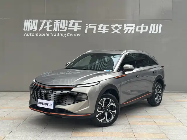  Haval Haval Shenshou 2022 1.5T Smart Enjoyment Edition