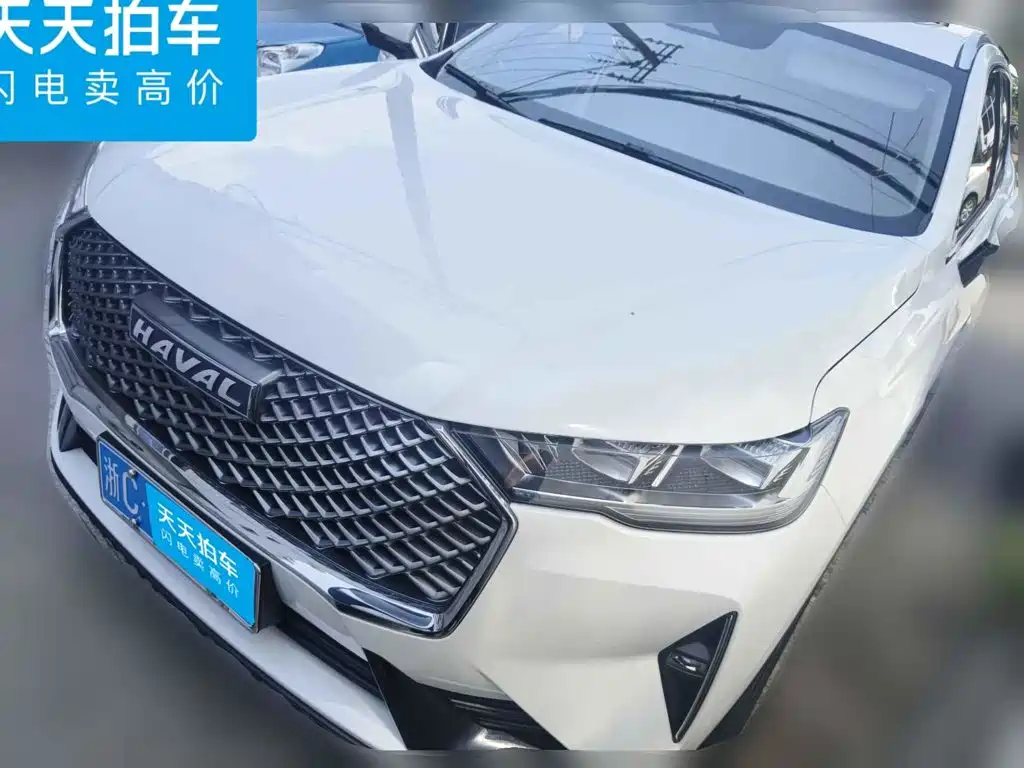Haval H6 2025 2024 Model 1.5T 2WD Classic Edition