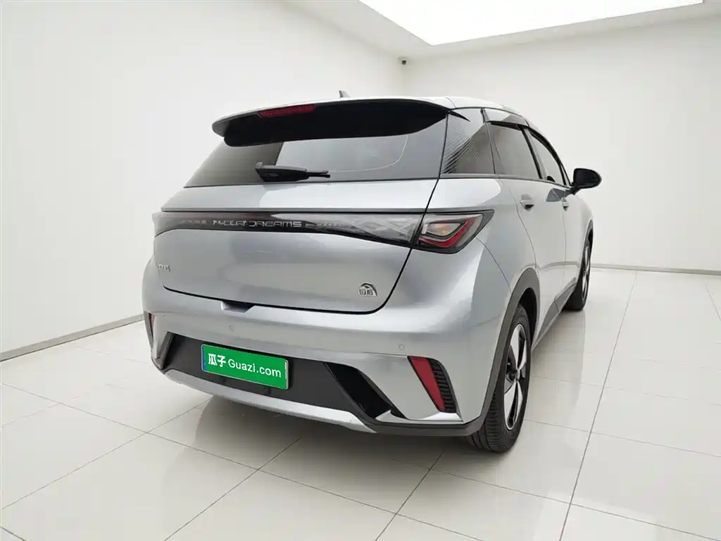 BYD Dolphin 2023 420km Fashion Edition фото 7