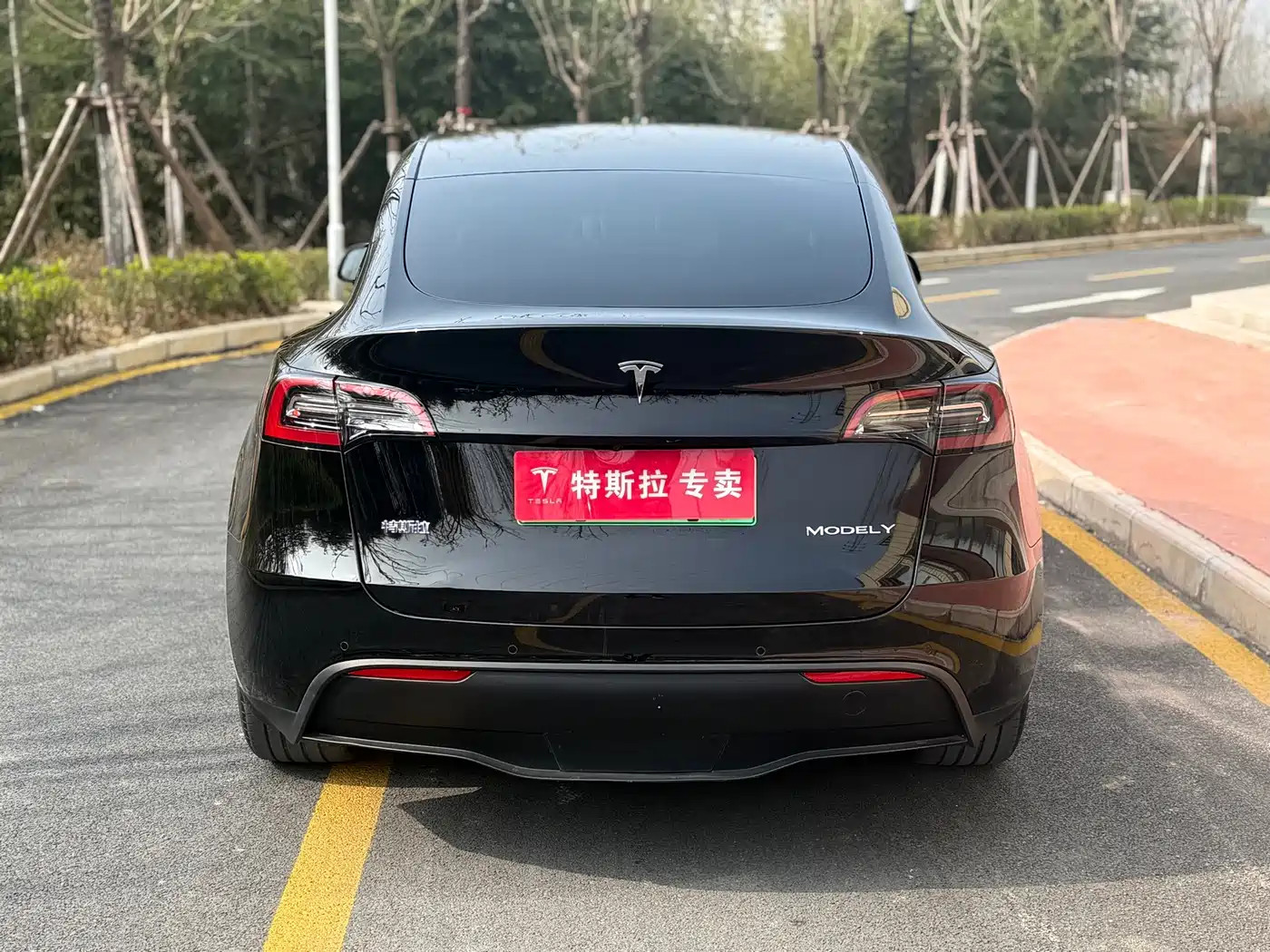 TESLA MODEL Y