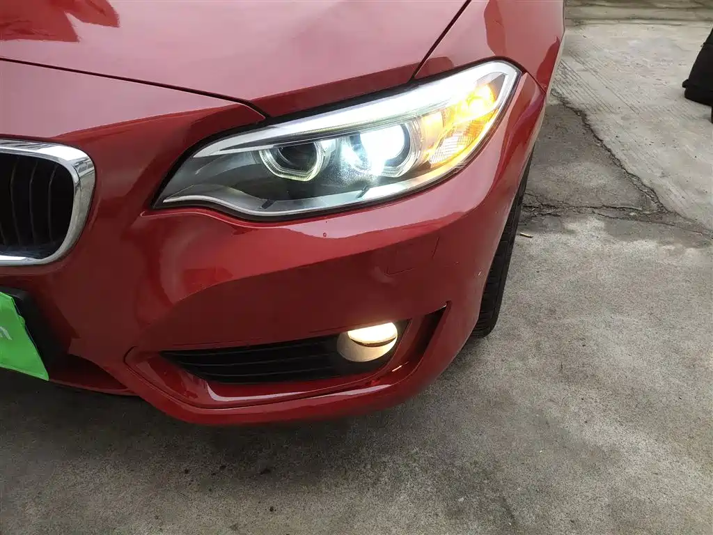 BMW 2 Series (Import) 2014 220i Leading фото 24