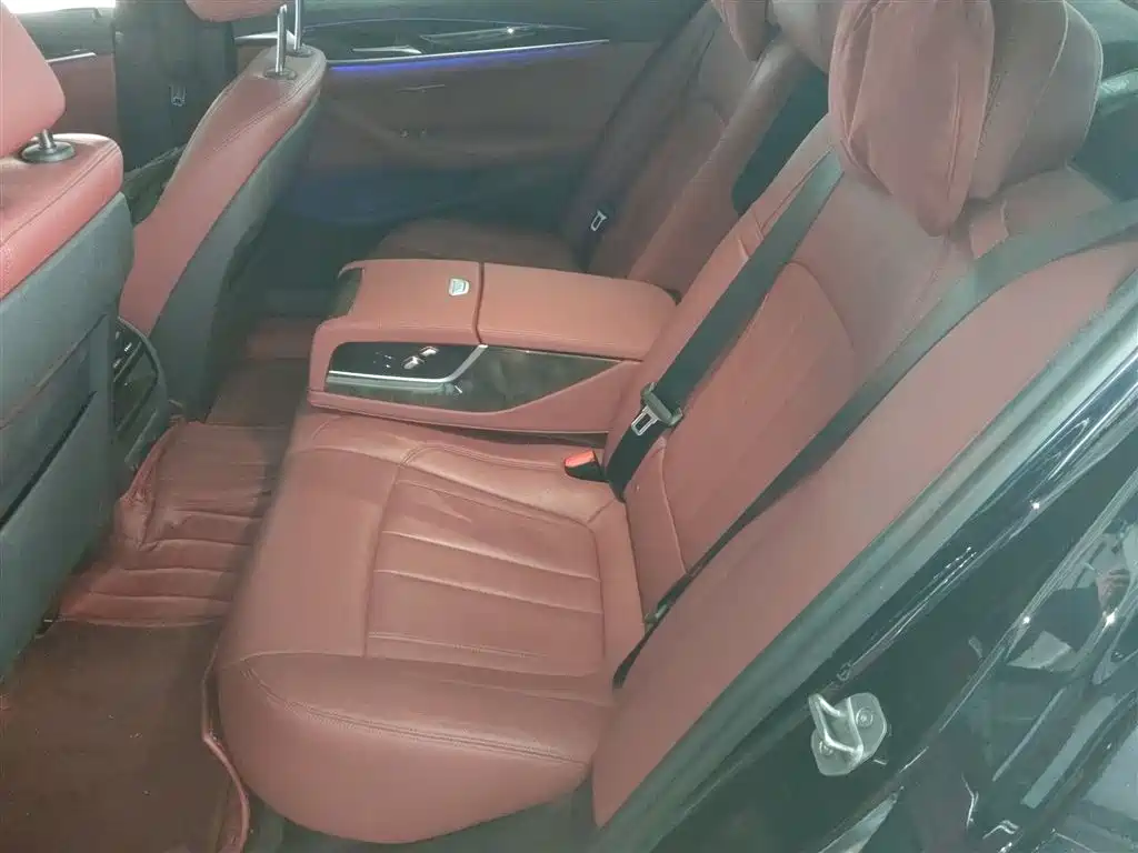 BMW 5 Series 2019 Facelift 530Li Leading M Sport Package фото 13