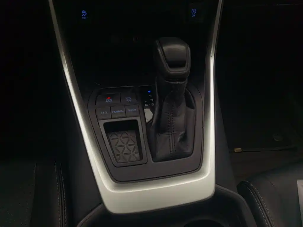 Toyota Wildlander 2020 2.0L CVT 2WD Luxury Edition фото 9