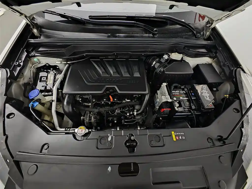 Haval H6 Coupe 2018 Red Label 1.5T Auto 2WD Ultra Luxury фото 6