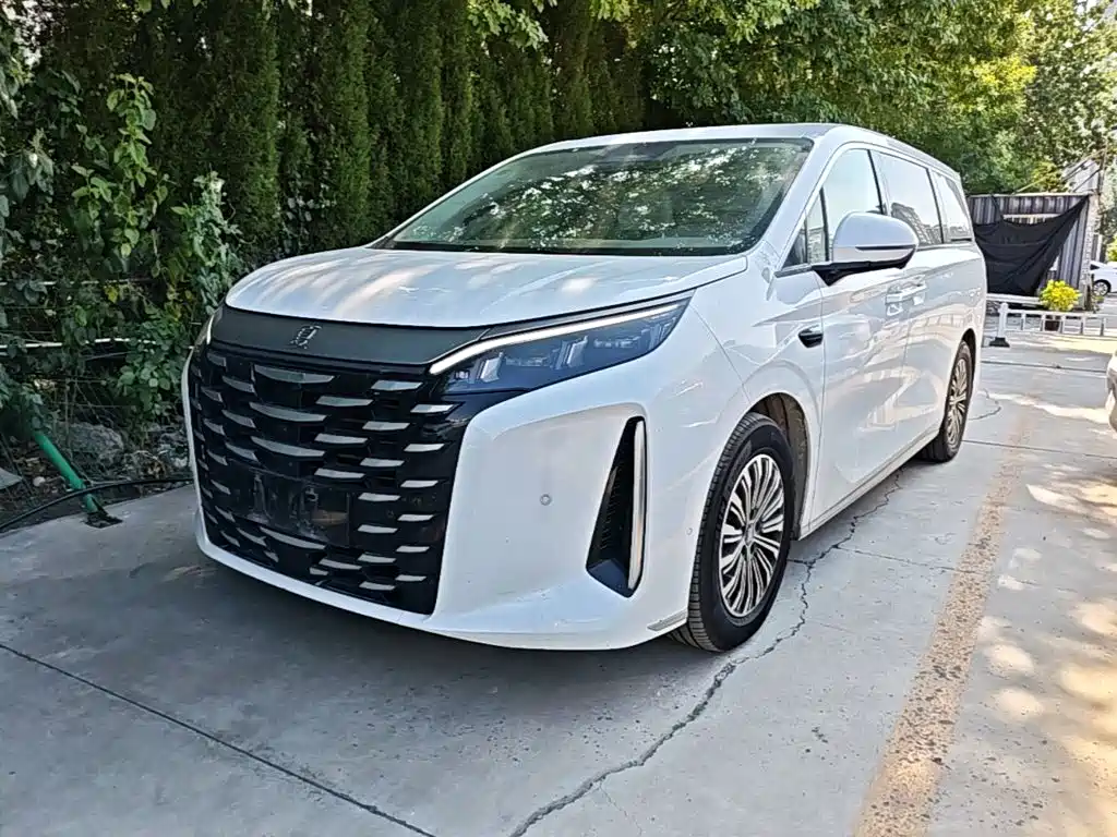 BYD Xia 2025 2025 DM-i 1.5T 180km Excellence