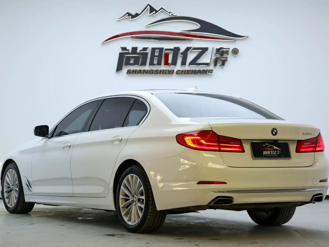 BMW 5 Series 2020 530Li Leading Luxury Package фото 7
