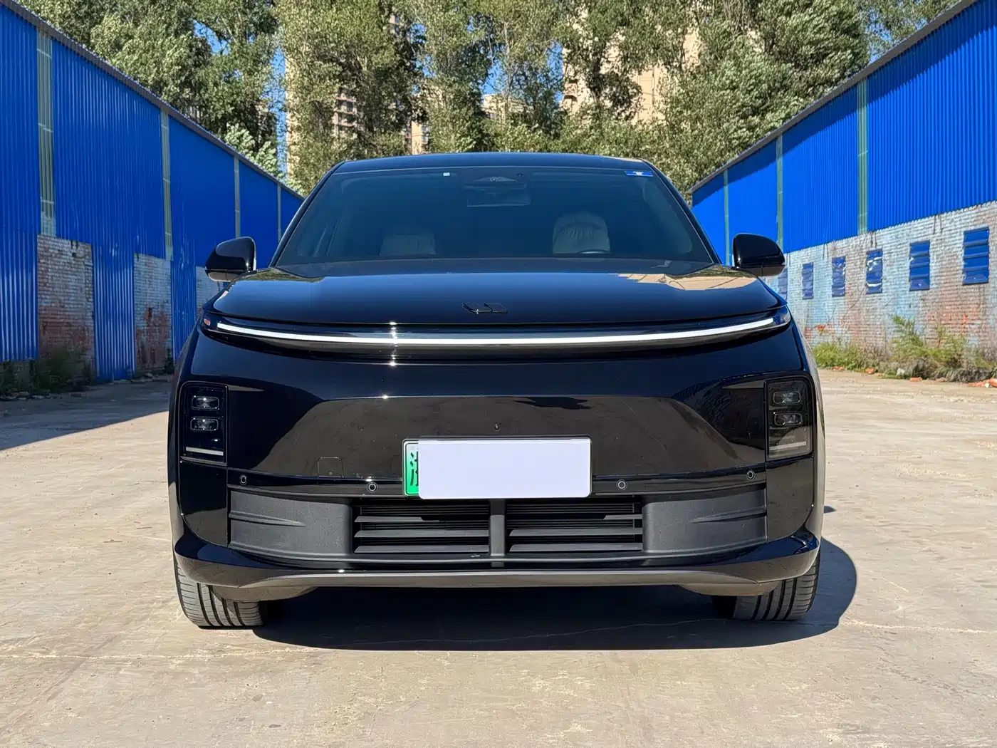 Li Auto L6 2025 2024 Pro