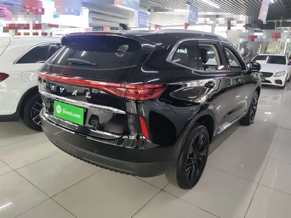 Haval H6 2021 3rd Generation 2.0T Auto AWD Max фото 23