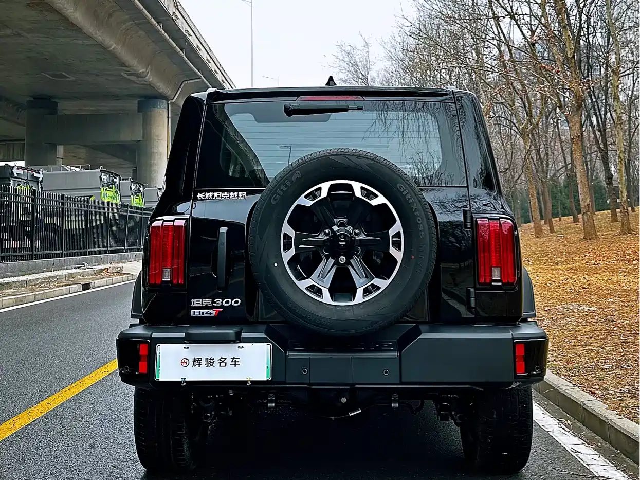 TANK TANK 300 NEW ENERGY