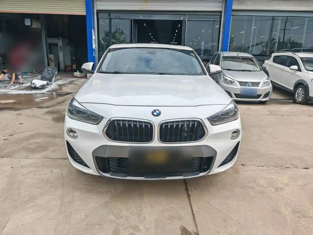 BMW X2 (Import) 2019 2019 sDrive25i Leading M Off-Road Package China VI