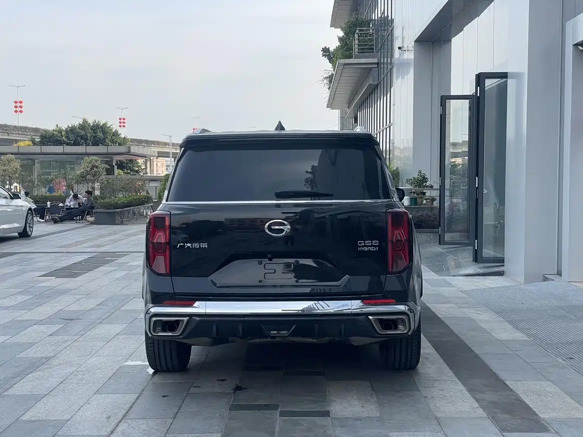GAC Trumpchi Trumpchi GS8 2024 Dual Engine Series 2.0TM 2WD Premium Edition фото 6