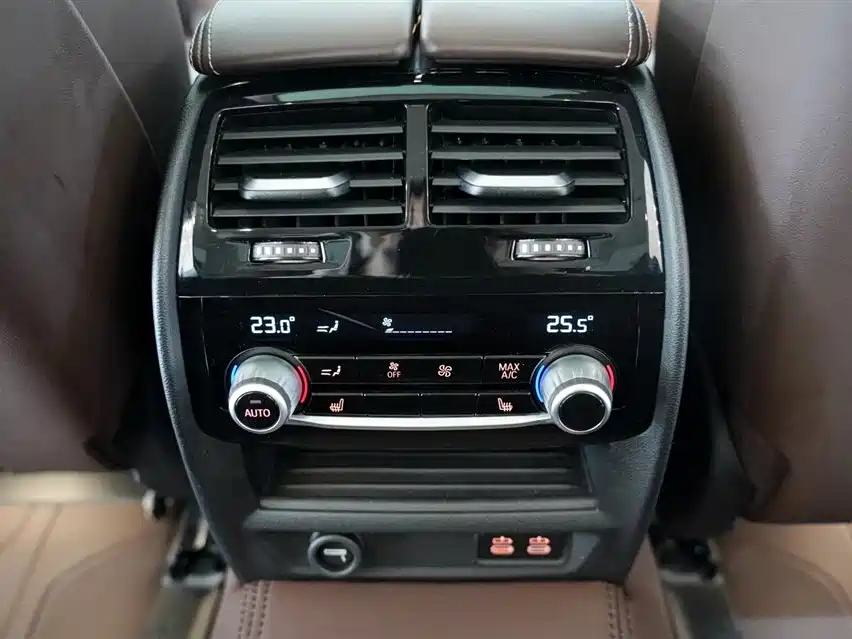 BMW 5 Series 2020 530Li Premium Luxury Package фото 12