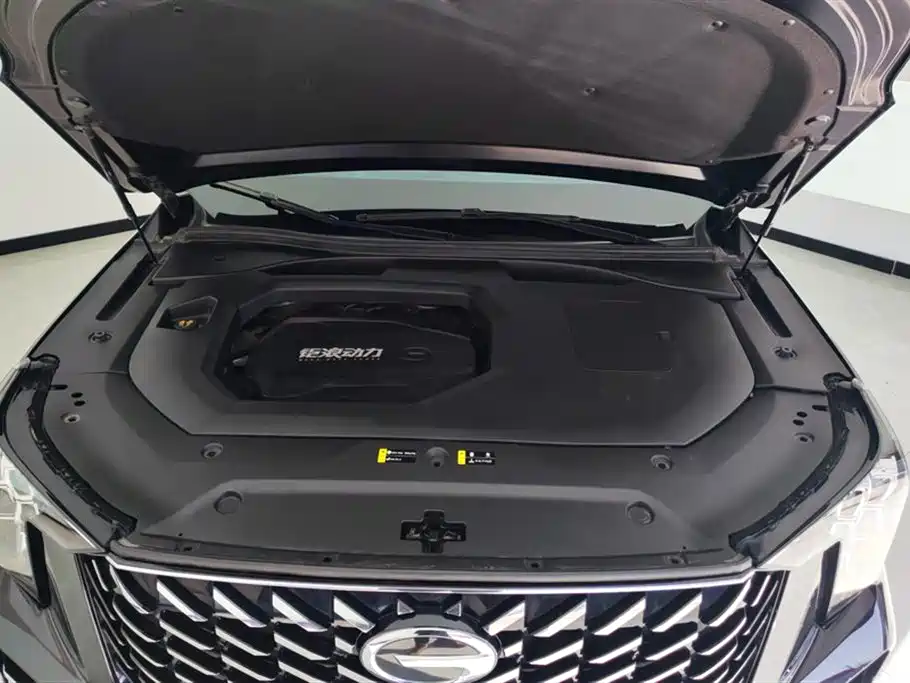 GAC Trumpchi Trumpchi GS8 2022 Pilot Series 2.0TGDI 2WD Premium Edition (7-Seater) фото 10