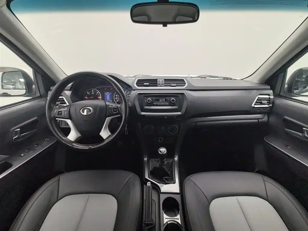 GREAT WALL FENGJUN 5