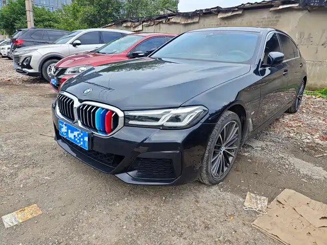 BMW 5 530Li, Лидер, Люкс-пакет