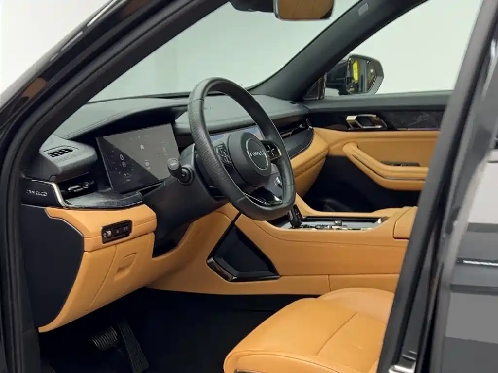 Lynk & Co 09 EM-P 2021 2.0T PHEV Ultra 6-seater фото 14