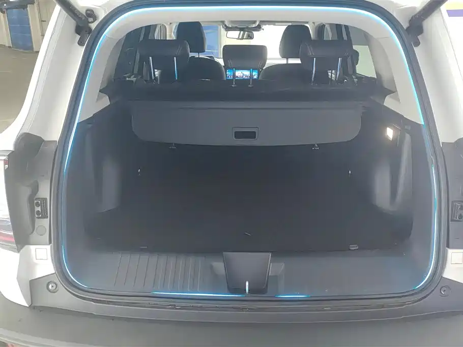 Haval Big Dog 2022 1.5T DCT FWD Malinois Edition фото 4