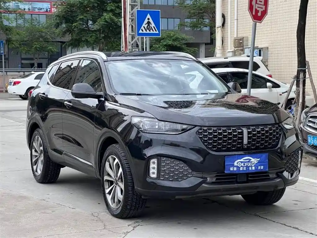 WEY VV6 2021 2.0T 2WD Smart Joy+