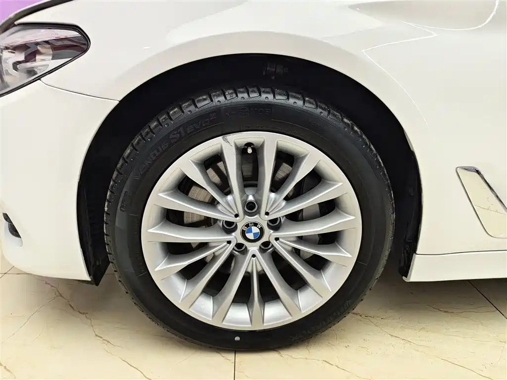 BMW 5 Series 2019 530Li Leading Luxury Package фото 8