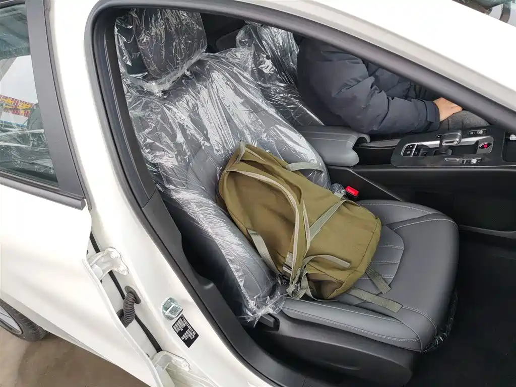 GAC Trumpchi Trumpchi Emkoo 2024 Model 270T DCT Shadow Leopard S Edition фото 25
