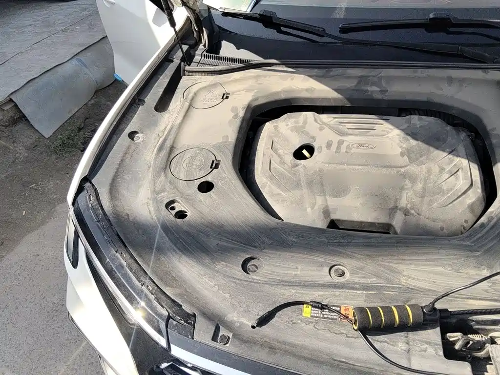 Photo 20 - Ford Territory