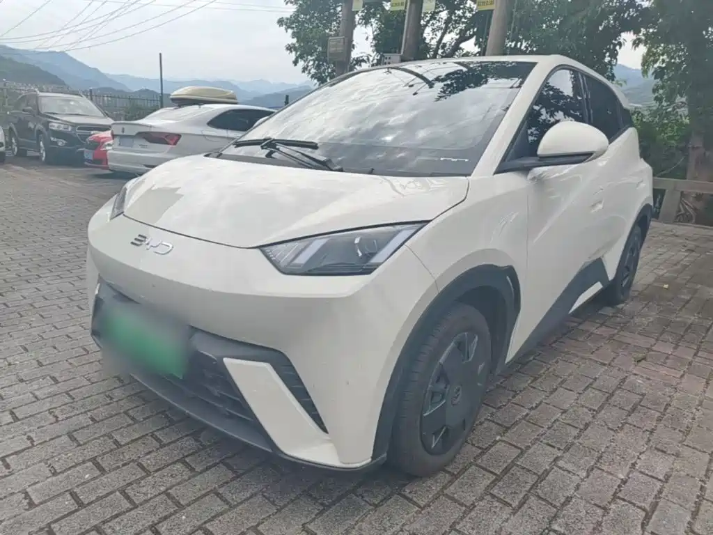 BYD Seagull 2024 Glory Edition 305km Vitality Edition