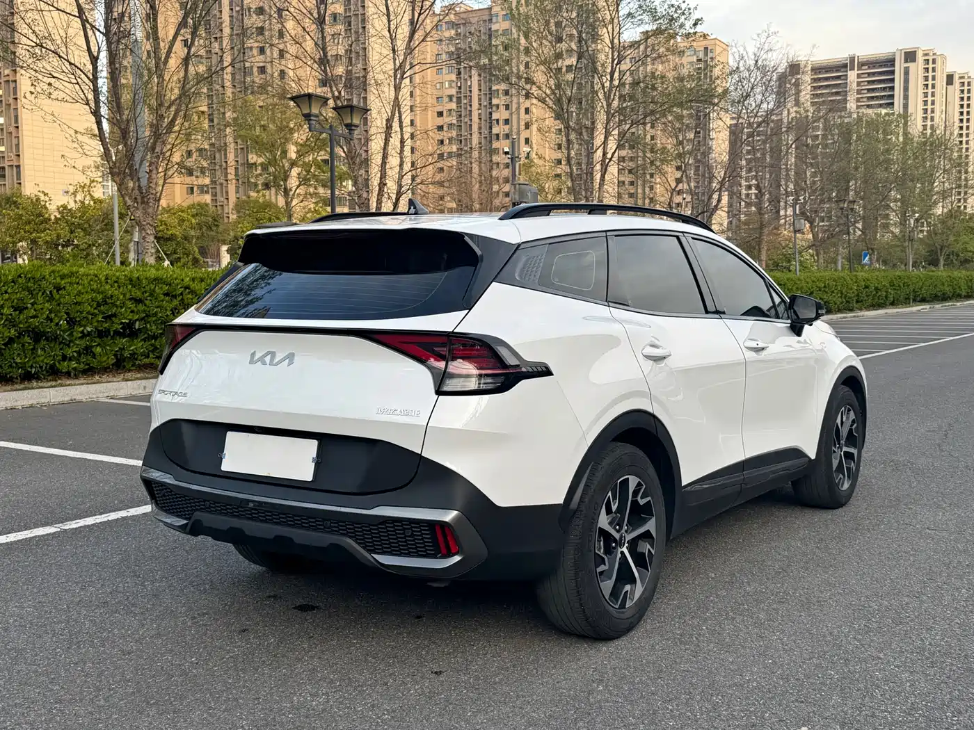 KIA LION PLATINUM EXPANDS THE WORLD