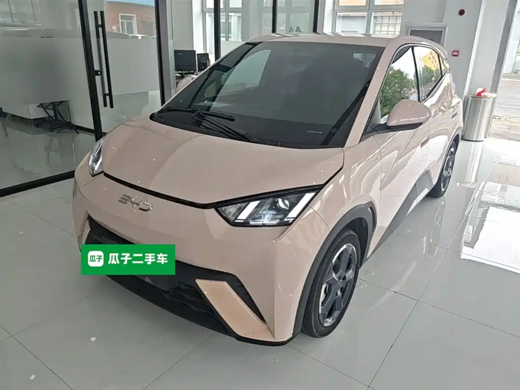 BYD Seagull 2024 Glory Edition 305km Freedom Edition фото 2