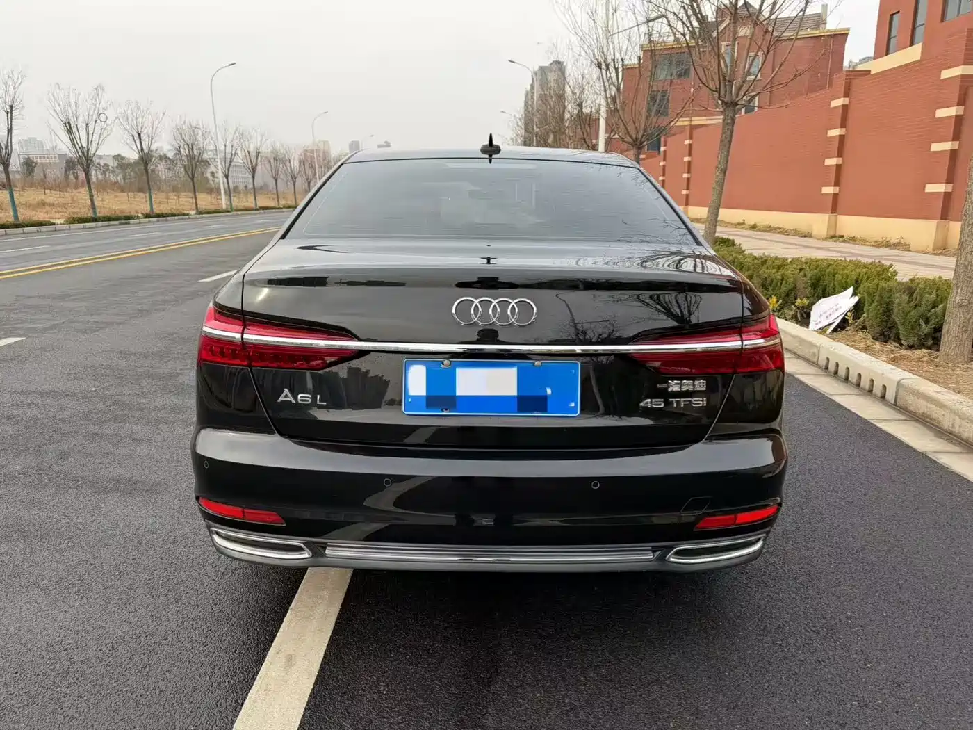 Audi A6L 2019 45 TFSI Premium Elegance фото 29