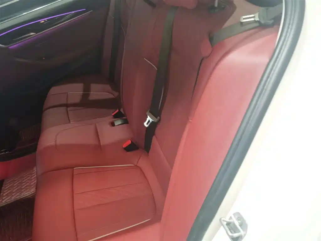 BMW 5 Series 2022 Facelift 525Li Luxury Package фото 13