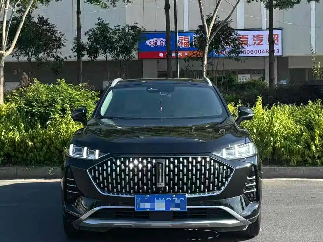 WEI PAI WEI BRAND MOCHA