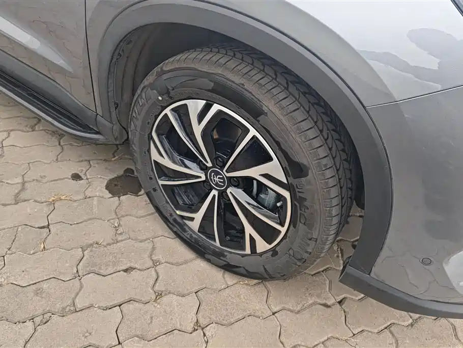 BYD SONGJIANG NEW ENERGY