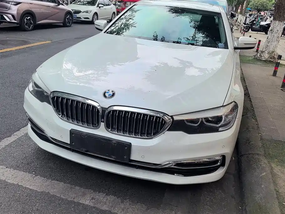 BMW 5 Series 2018 525Li Luxury Package фото 2