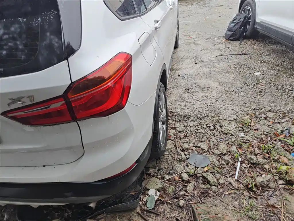 BMW X1 2016 sDrive20Li Luxury Model фото 8