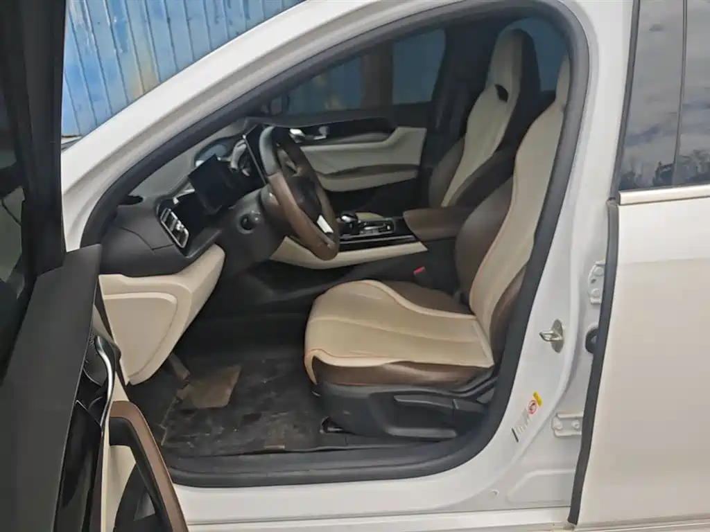BYD Qin PLUS 2023 Champion Edition DM-i 120KM Leading Type фото 15