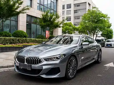 BMW 8