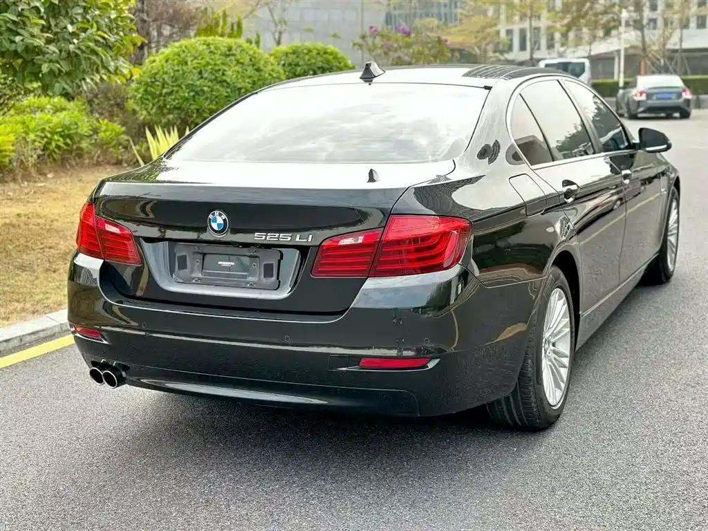 BMW 5 Series 2014 525Li Leading фото 25