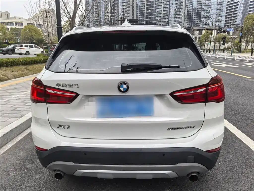 BMW X1 2019 xDrive20Li Premium Model фото 13