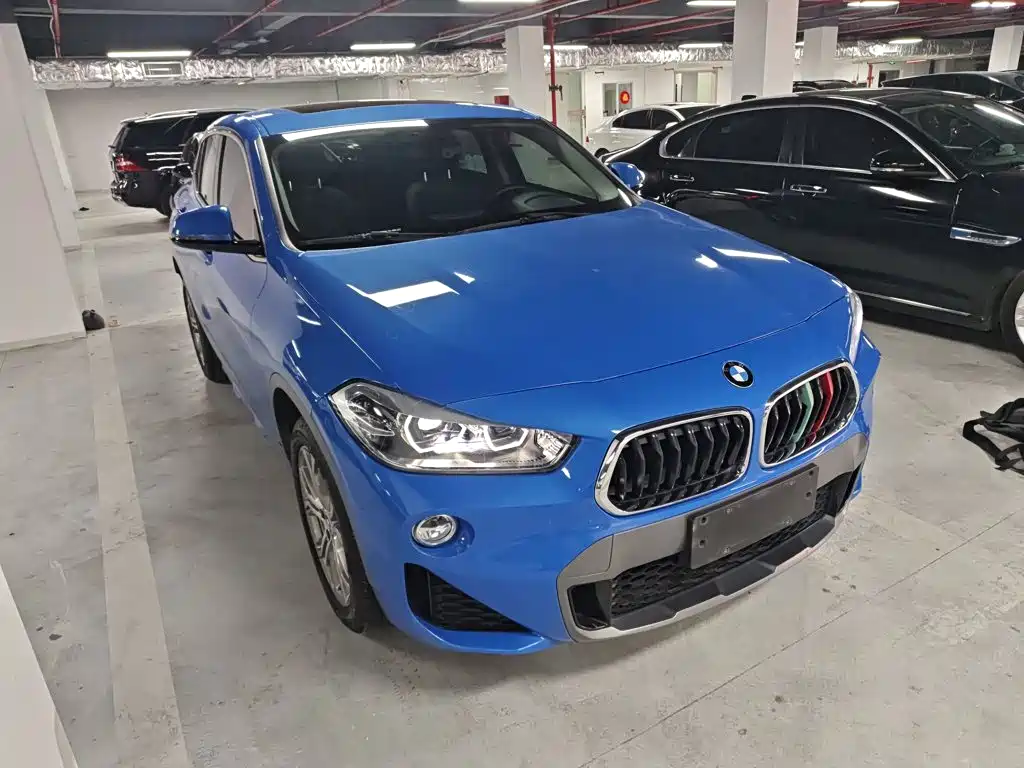 BMW X2 (Import) 2019 2019 sDrive25i Leading M Off-Road Package China VI