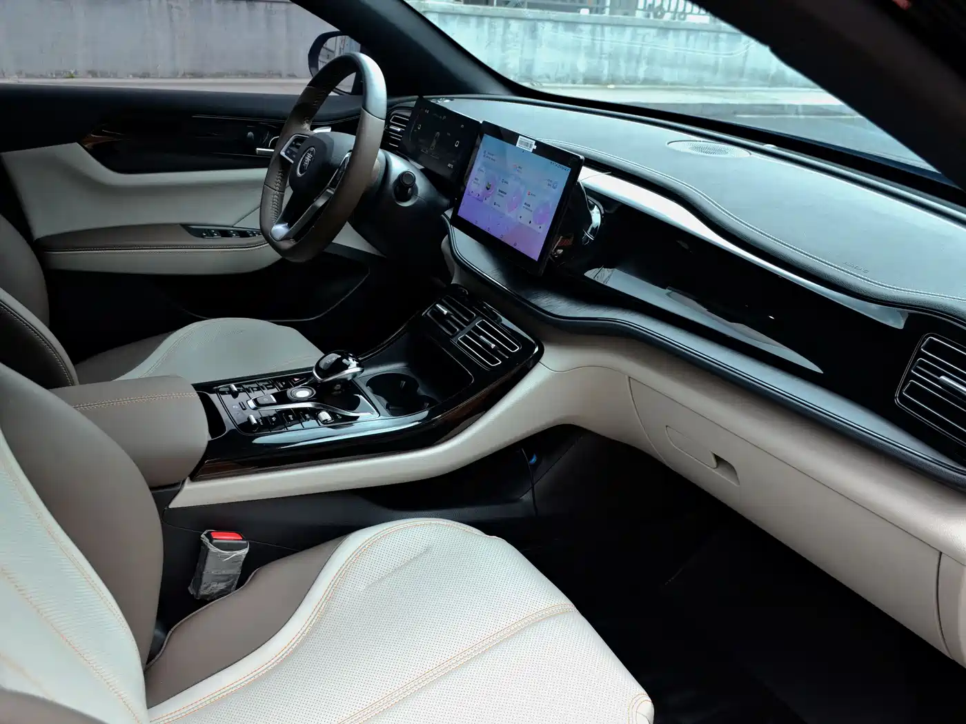 BYD Qin PLUS 2023 Champion Edition DM-i 55KM Leading фото 14