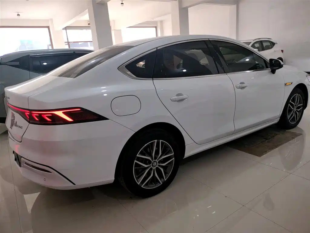 BYD Qin PLUS 2023 Champion Edition EV 420KM Leading Type фото 5