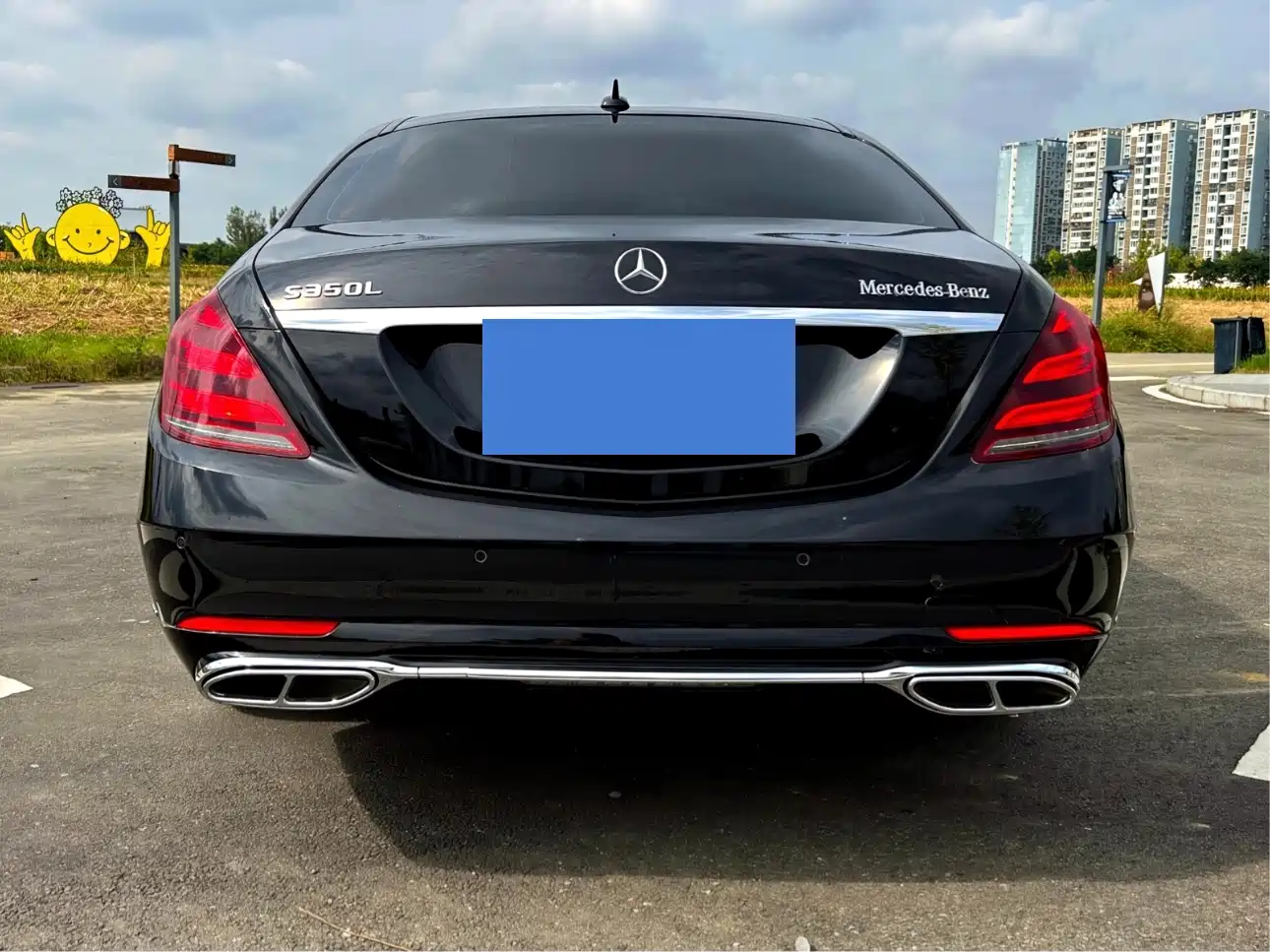 Mercedes-Benz S-Class 2019 S 350 L Luxury фото 12